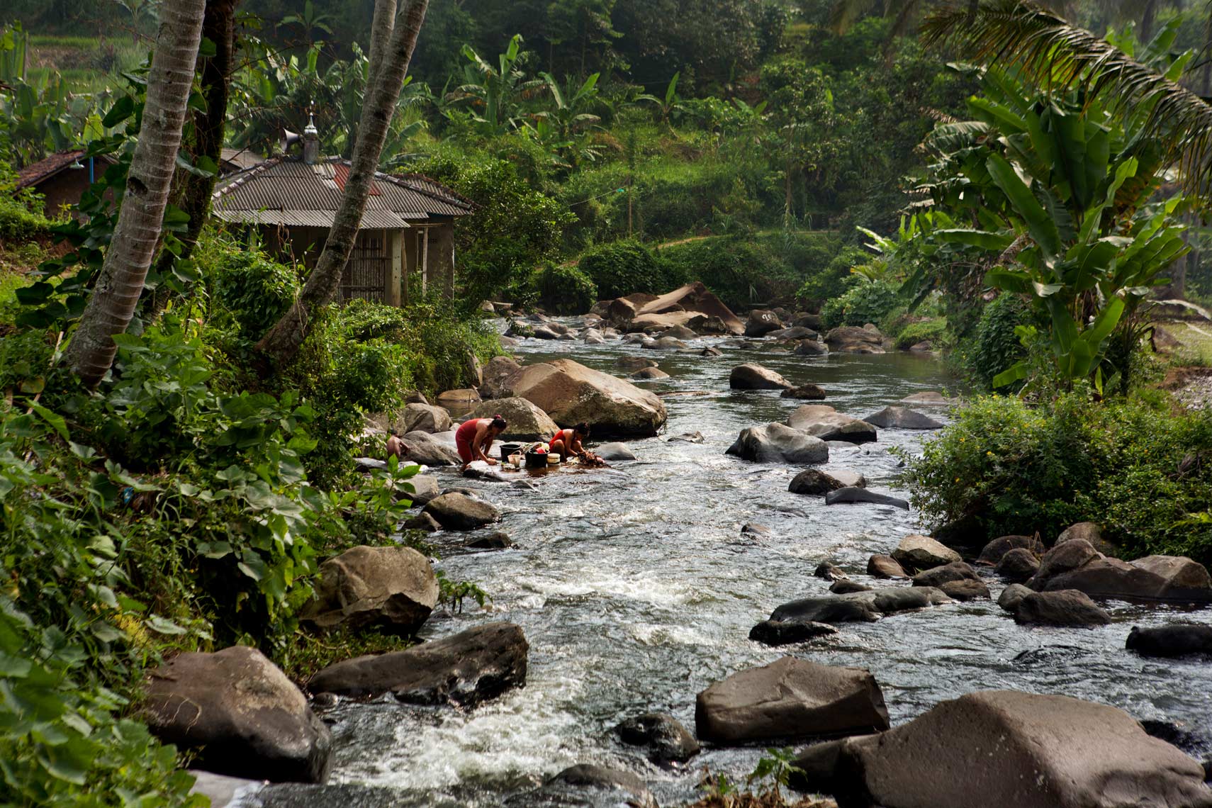 035conservation
